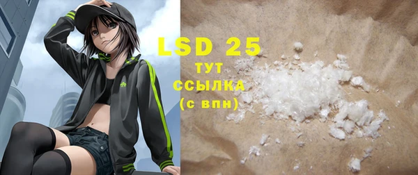 PSILOCYBIN Инсар