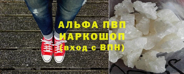 хмурый Новозыбков