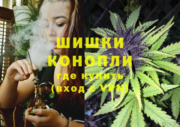 хмурый Новозыбков