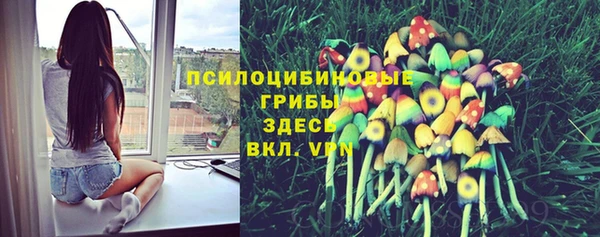 прущая мука Тольятти