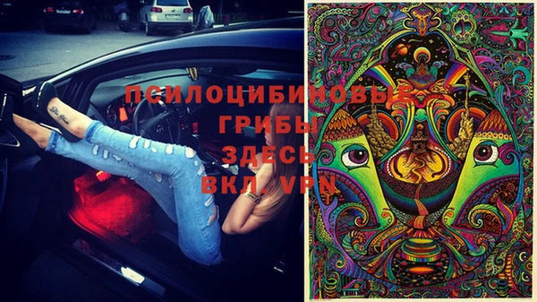 прущая мука Новодвинск