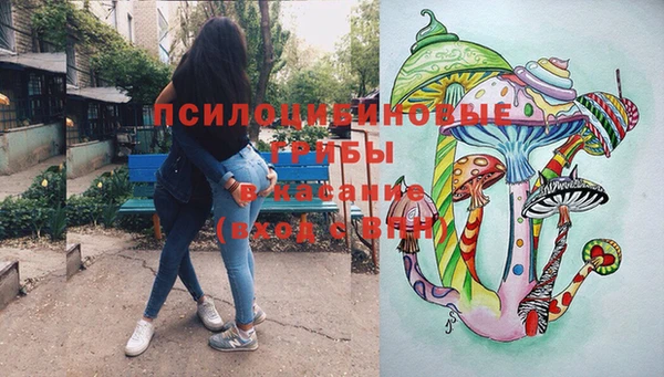 хмурый Новозыбков