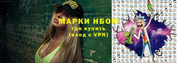 хмурый Новозыбков