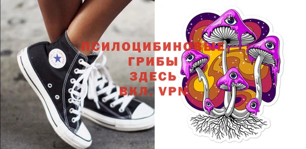 прущая мука Новодвинск