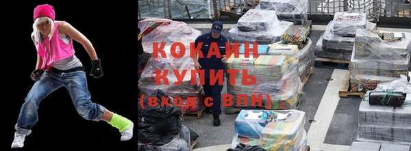 хмурый Новозыбков