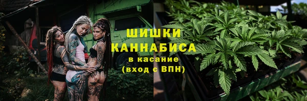хмурый Новозыбков