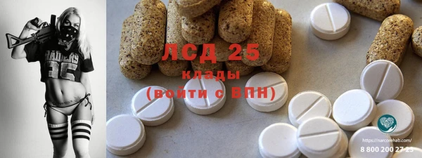 хмурый Новозыбков