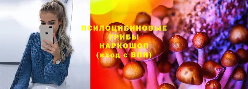 Псилоцибиновые грибы мицелий  Артём 